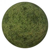PBR texture grass 4K